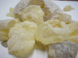 copal02_00